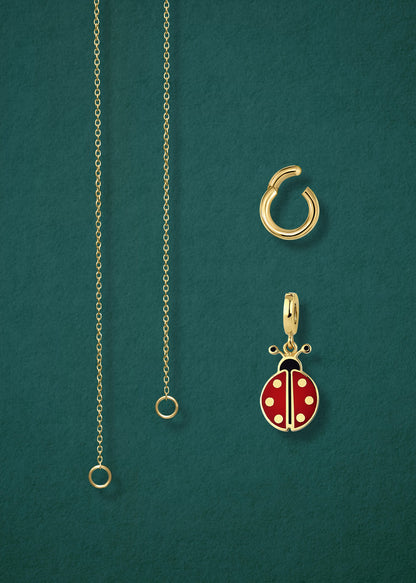 Close-up of the separated Golden Grace Lucky Ladybird Charm Necklace components: 14K solid gold cable chain, golden charm holder, and lucky ladybird charm with red and black enamel by whywhy NYC.