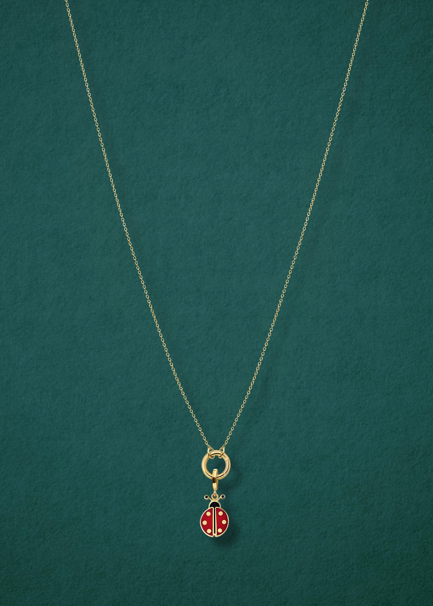 Golden Grace Lucky Ladybird Charm Necklace in full view, showcasing a 14K solid gold cable chain, golden charm holder, and lucky ladybird charm with red and black enamel by whywhy NYC.