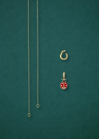 Separated components of the Golden Grace Lucky Ladybird Charm Necklace, including 14K solid gold cable chain, golden charm holder, and lucky ladybird charm with red and black enamel by whywhy NYC.